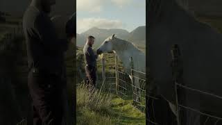 Connemara Pony loves the bodhrán 🎶 bodhran pony irish [upl. by Minton]