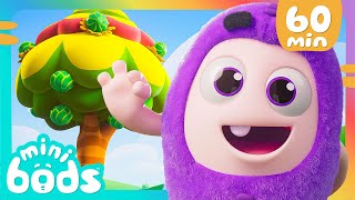 Fruits Of Labour  Minibods  Mini Oddbods  Baby Oddbods  Funny Cartoons For Kids [upl. by Neelcaj]