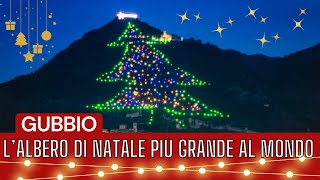 LAlbero di Natale di Gubbio il più grande al Mondo🎄🌟 [upl. by Annabela]