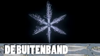 De Buitenband  Sneeuwkristallen [upl. by Parsaye39]