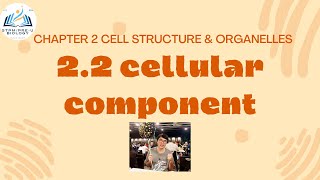 STPM BIOLOGY SEM 1 CHAPTER 2  ORGANELLES  CELL COMPONENT  NUCLEUS STRUCTURE amp FUNCTION [upl. by Adriaens174]