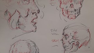 bridgman method head study [upl. by Reel]