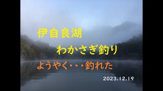 伊自良湖 わかさぎ釣り ようやく・・・今年の壁超え [upl. by Eeimaj]