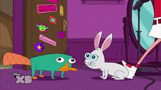 Phineas and Ferb  Perrysode  No More Bunny Business [upl. by Amaral]