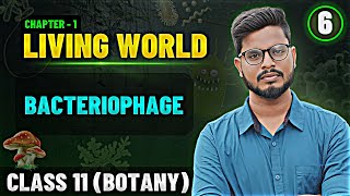 Bacteriophage in Tamil  Living World Tamil 6  Class 11 Botany State Board [upl. by Pepper]