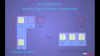 Formation of Boron trichloride molecule [upl. by Nanon]