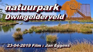 Natuurpark Dwingelderveld 23 04 2019 [upl. by Yren]