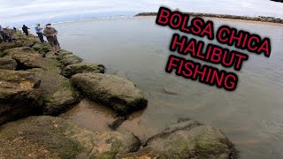 Huntington BeachBolsa Chica Fishing Halibut [upl. by Norabel927]