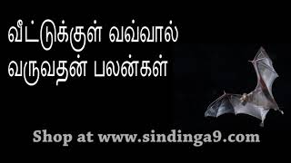 வவ்வால் வீட்டுக்குள் நுழைவதன் பலன்கள் Symptoms of Bat entering home [upl. by Searby]