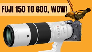 Fuji 150 to 600 Review  Fuji XT5 for Birding and wildlife [upl. by Henleigh]