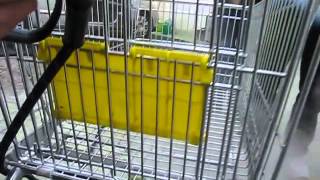 Shopping cart cleaning amp sanitizing  Optima Steamer [upl. by Eiramait789]