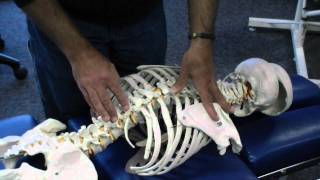 Rotation amp Lateral Bending of Thoracic Spine  Prone Position [upl. by Alodie]