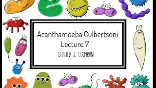 8 Acanthamoeba Culbertsoni [upl. by Calvinna]