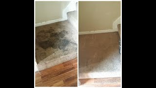 Extremely Soiled Carpet RestorationBio Break Presprayboosted with Grout Master [upl. by Sivehc]