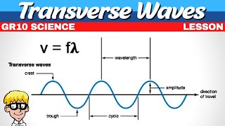 Transverse Waves Grade 10 [upl. by Audi]