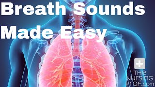 Simple Nursing Breath Sounds Made Easy [upl. by Garey]