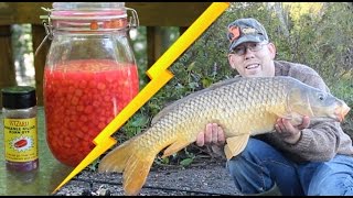 How to Catch Carp  Best Bait Recipe Cured Corn [upl. by Erskine]