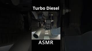 Isuzu DMax Turbo Diesel ASMR diesel asmr isuzu isuzudmax 4x4 revcut [upl. by Beuthel]