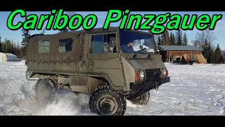 Cariboo Chronicles  Episode 42 Cariboo Pinzgauer [upl. by Haugen173]