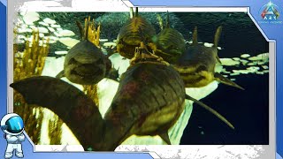 Ark Ascended  Fish Frenzy 11 [upl. by Onra]