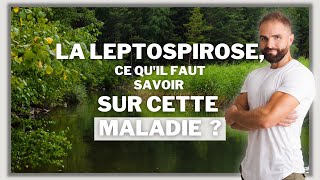 La Leptospirose  ce quil faut savoir sur cette maladie [upl. by Adnohsat]