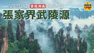 4K Virtual Walk in Zhangjiajie Wulingyuan Scenic Area  Hunan China [upl. by Joel638]