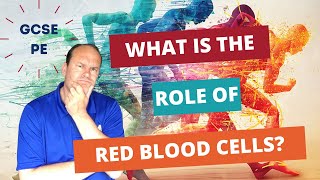 GCSE PE What is the role of red blood cells [upl. by Arnoldo429]