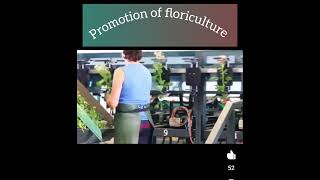 promotion of floriculture [upl. by Gerrald]