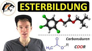 ESTERBILDUNG – Reaktionsmechanismus  Saure Esterhydrolyse  Chemie Tutorial [upl. by Eissirc832]