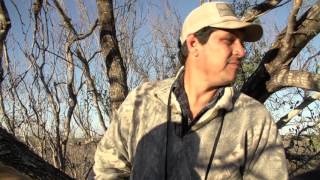 Trophy Hunters TV  Big Bucks and Beefmaster Cattle  Outdoor Channel [upl. by Sinnej453]