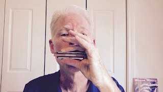 5 cool riffs for beginning blues harmonica players [upl. by Nedap953]