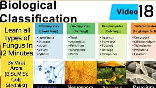 Types of fungus classification of fungiphycomycetesascomycetesbasidiomycetesdeuteromycetesNEET [upl. by Blondie]