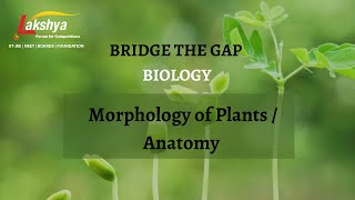 Plants Families  Morphology of Plants  Class 11 Biology  NEET  Lakshya [upl. by Odoric810]