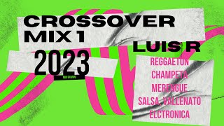 Luis R Crossover Mix  1  2023 Reggaetón Champeta Merengue salsa Vallenato Electrónica [upl. by Esmerelda]