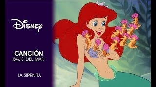 La Sirenita  Canción Bajo el mar  Disney Oficial [upl. by Anairda514]