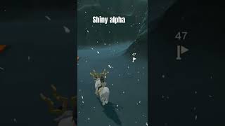 Finding a shiny alpha in pokemon legends arceus pokemonlegendsarceus shinypokemon alphapokemon [upl. by Mont477]