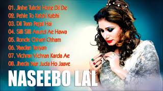 NASEEBO LAL  Top 10 Sad Songs Of Naseebo Lal  Naseebo Lal Sad Song rai production mix song nirmal [upl. by Killie]