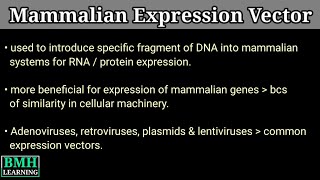 Mammalian Expression Vector  Mammalian Expression System [upl. by Nidnal]