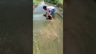 Jodi thake naseeb Apne Apne aashi be Fishing video [upl. by Genisia189]