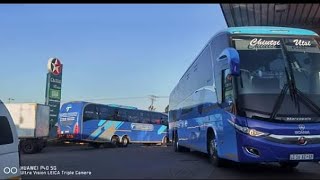 Tamuka coaches from south Africa cape town to Zimbabwe Harare [upl. by Halas163]