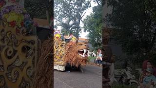 Lawang Culture FestivalCostume Carnival quot251024 [upl. by Noivad]