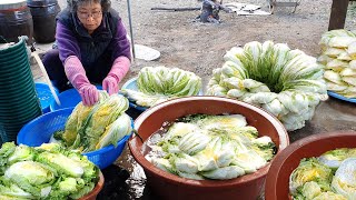 김장김치 맛있게 담그는법 총 40분 풀영상 물없이 하는 수육 김장담그기 korean kimchi recipe  how to make korean kimchi [upl. by Camarata]