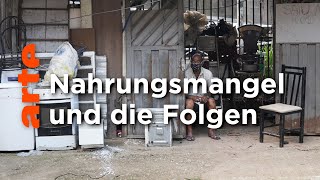 Brasilien Die Rückkehr des Hungers  ARTE Reportage [upl. by Elleira878]