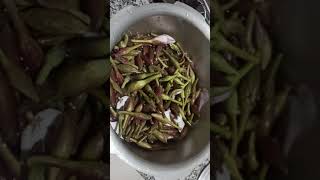 kachnar ki tasty sabzi Himachali dish [upl. by Joseph]