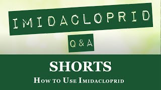 Quick Overview on How to Use Imidacloprid shorts [upl. by Ahsitra]