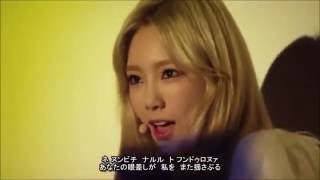 SNSD（少女時代）  TTS Adrenaline 3 （歌詞＆訳） [upl. by Kirstin]