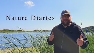 Slapton Ley Nature Reserve  Nature Diaries [upl. by Marci4]