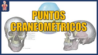 ANATOMÍA  PUNTOS CRANEOMÉTRICOS [upl. by Notsirk]