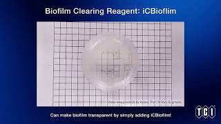 Biofilm Clearing Reagent iCBiofilm [upl. by Altheta]