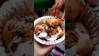 papri chaat🤩shots viral indiapaprichaat [upl. by Chae188]